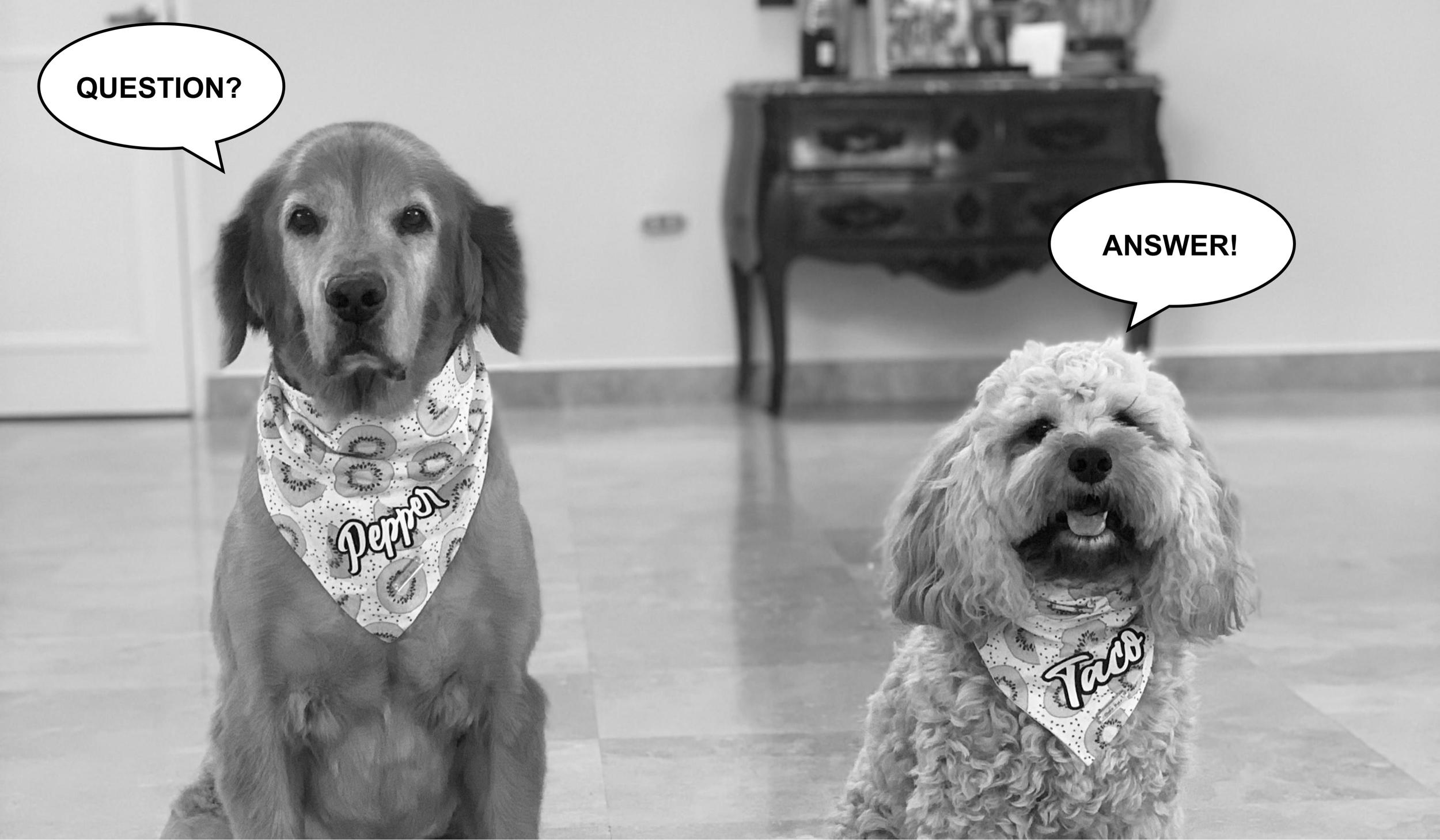 The Wedding Website of Daniela Gonzalez and Alexander Saravia