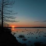Lake Dallas Lakeside Hike