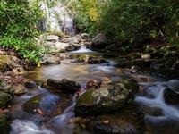 Harper Creek Trail