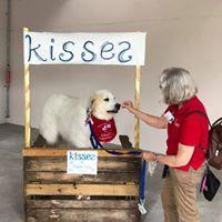 While there's no one to love on, Charlie makes good use of his time training his human on how to give out treats.