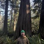 Ancient Cedar Tree Trail | South Whidbey State Park Trails