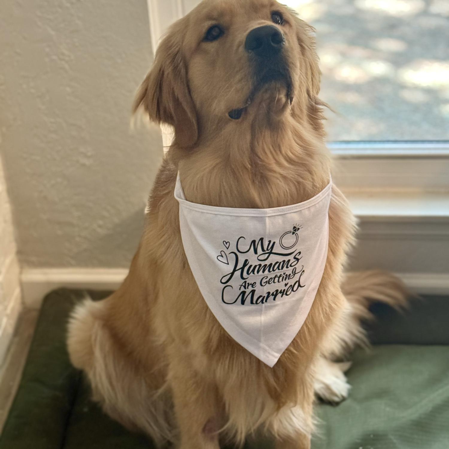 Davy Jones is excited for the wedding!!
