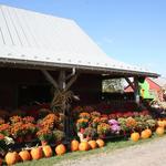 Temple Hall Farm