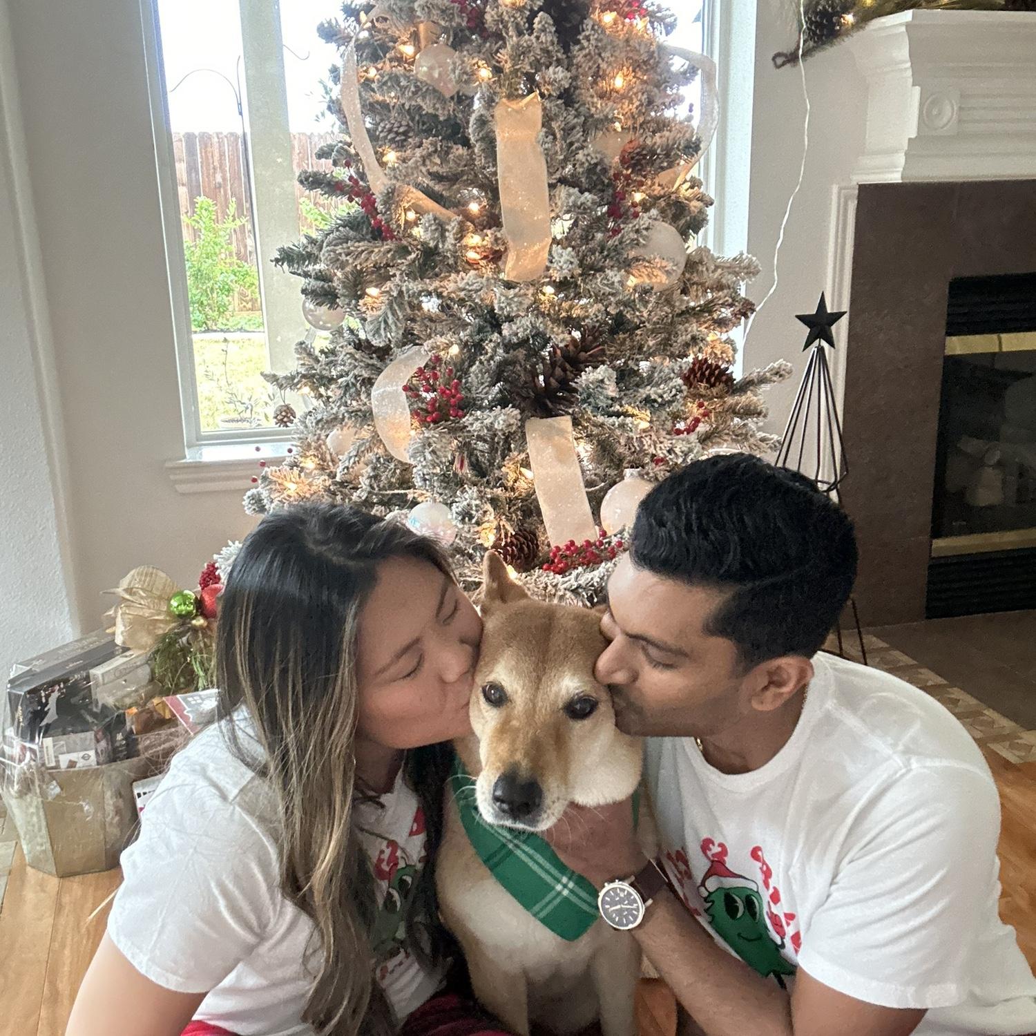 Christmas with Ginger!