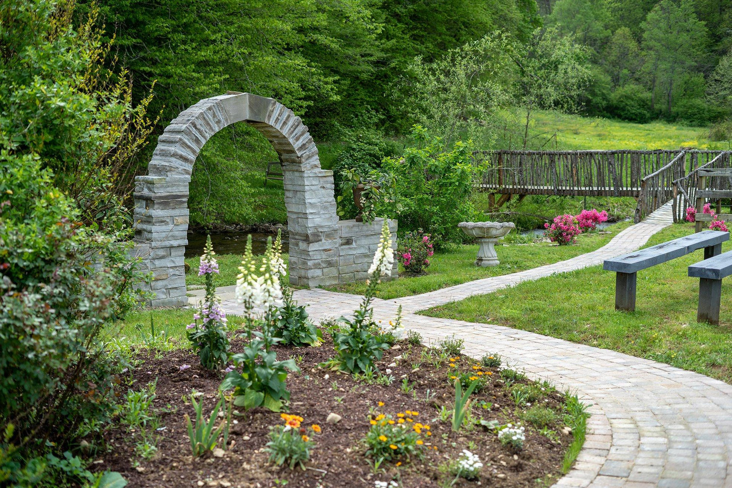 The Wedding Website of Desiree Ford and Michael McGreal