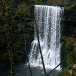 Silver Falls State Park