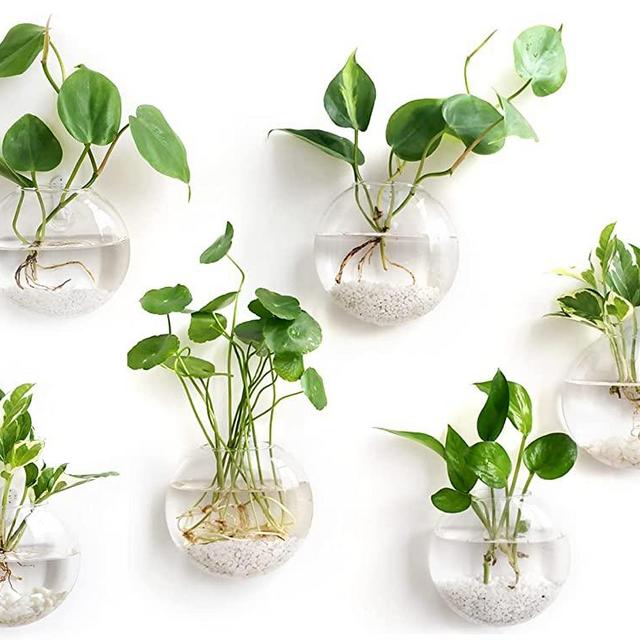 Mkono Wall Hanging Glass Terrariums Planter Oblate Flower Vase for Hydroponics Plants, Home Office Living Room Decor, Set of 6