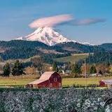 Hood River Fruit Loop