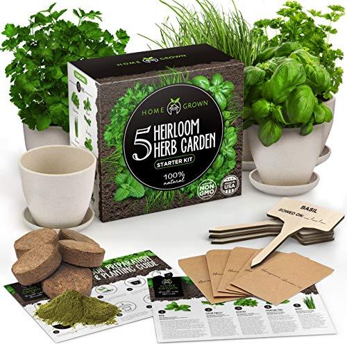 Indoor Herb Garden Starter Kit - 5 Herb Seeds Gardening Kit with Bamboo Planting Pots & Potting Soil - Heirloom & Non GMO - DIY Home Seed Starter Grow Plant Kit - Basil, Mint, Cilantro, Chives Seeds