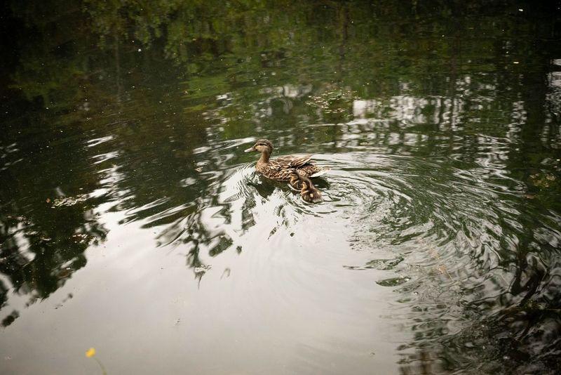 The Wedding Website of Julia Post and Isaiah Knott