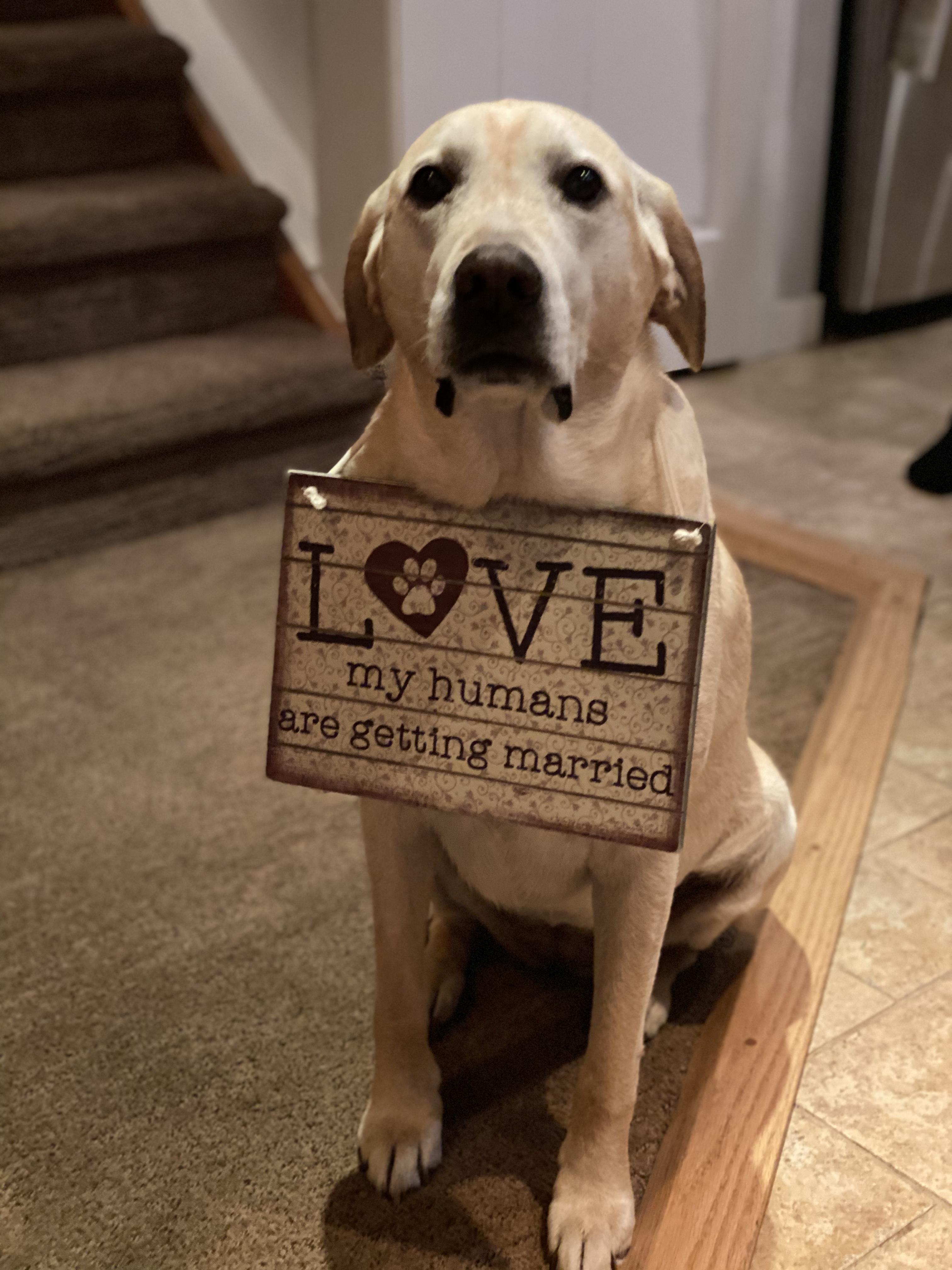 The Wedding Website of Allison Regan and Quinn Pevera