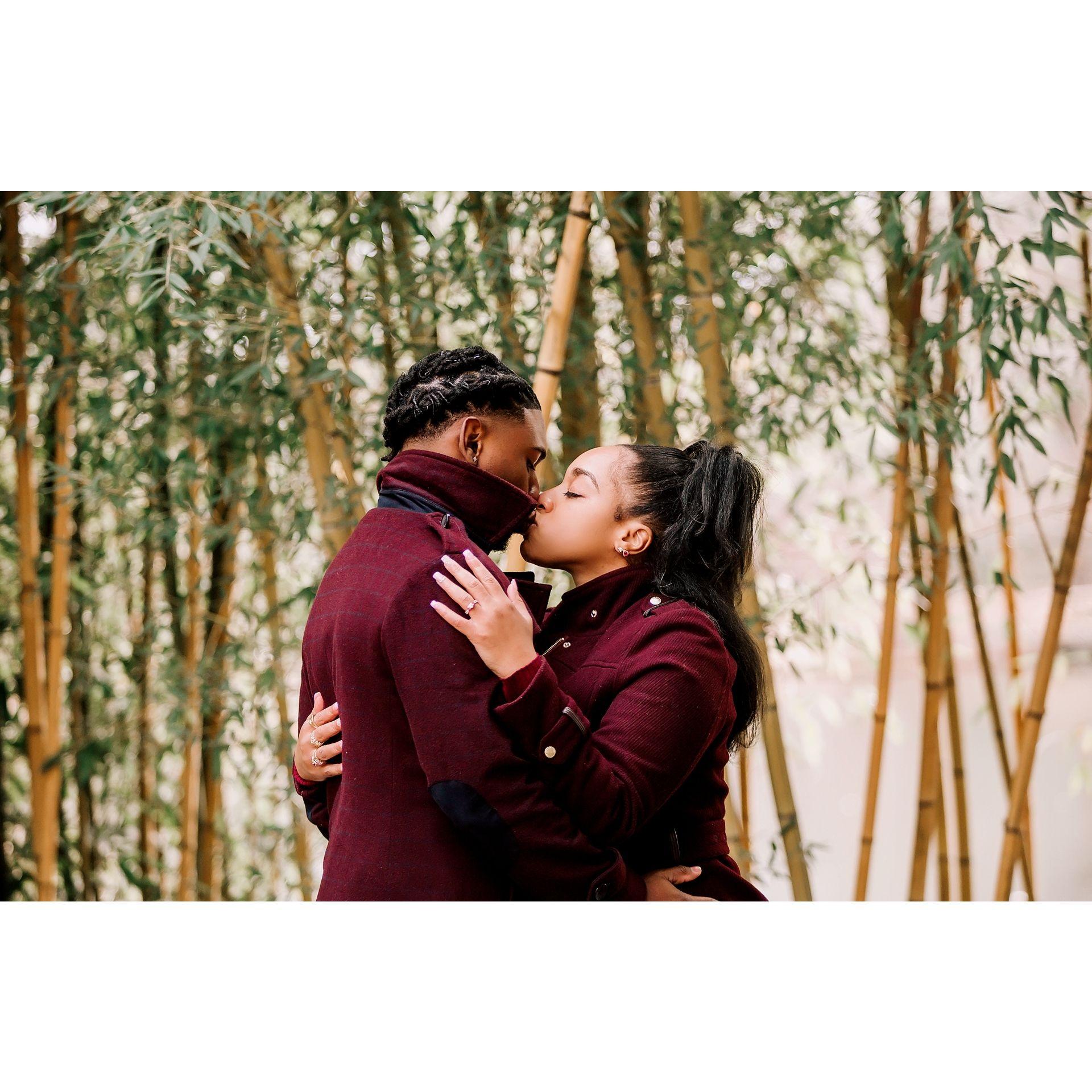 The 1st kiss after he proposed at the Memphis Botanical Gardens