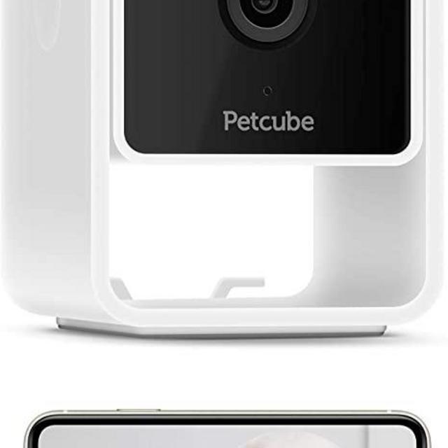 Petcube Cam