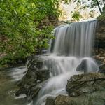 Tanyard Creek Nature Trail