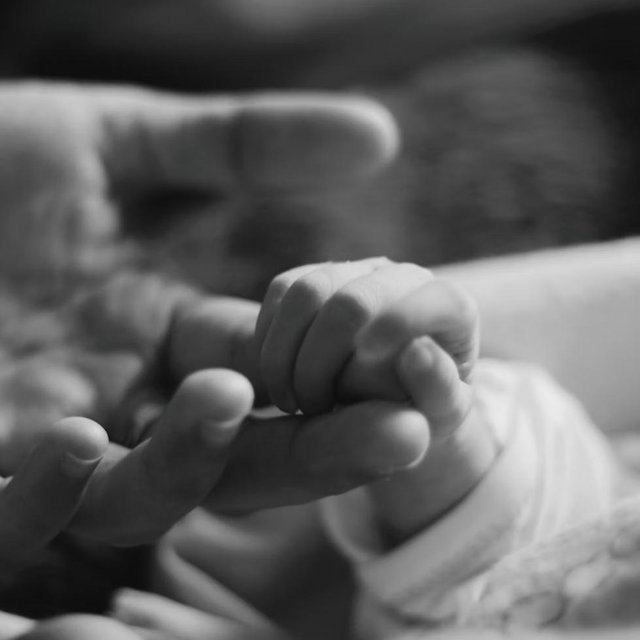 Adoption Fund