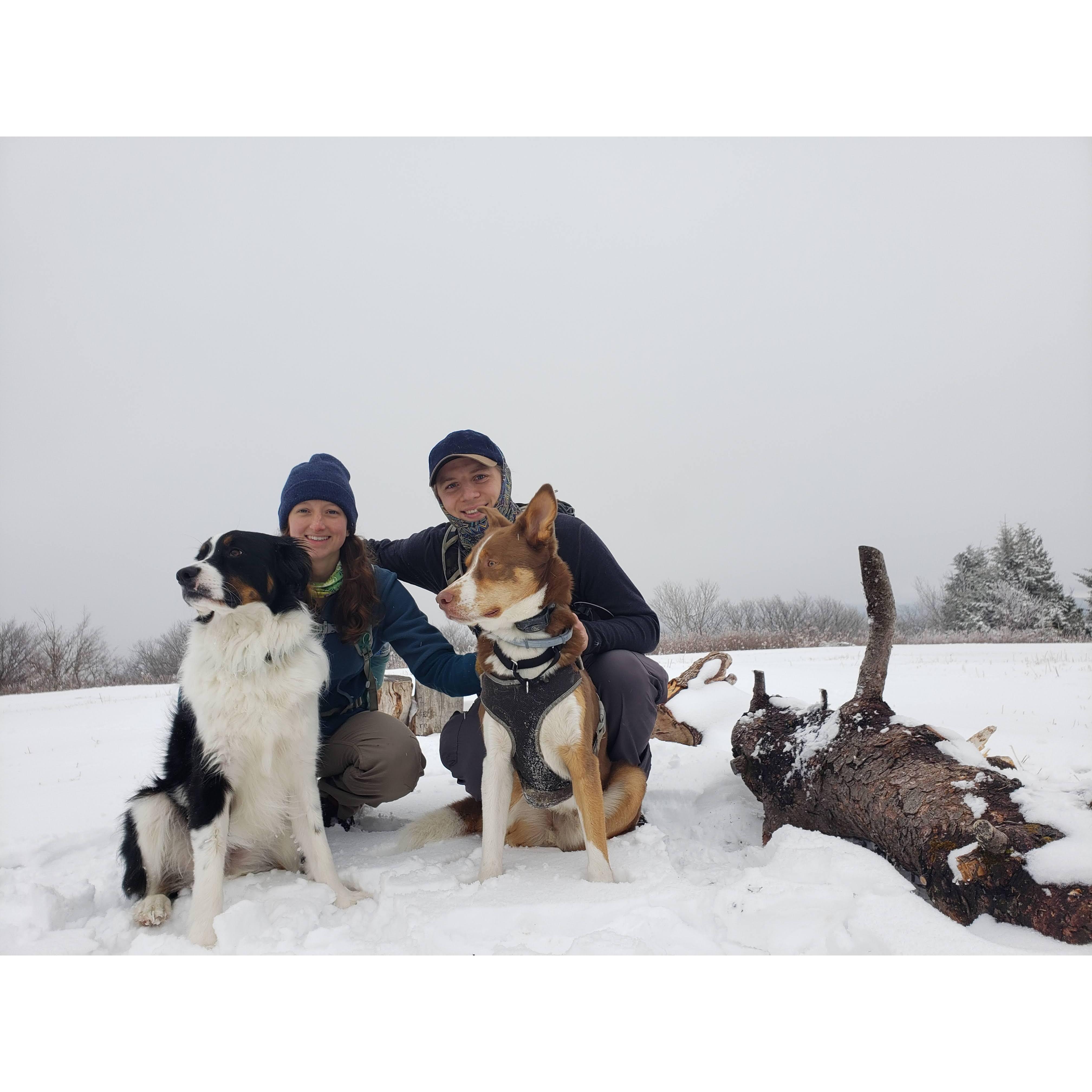Hiking with the pups in the Adirondacks