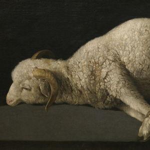 Agnus Dei