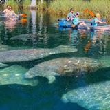 Get Up And Go Kayaking - Weeki Wachee