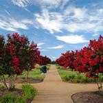 E. Carroll Joyner Park