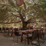 Primitivo Restaurante