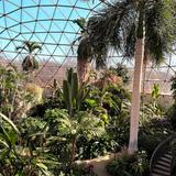 Greater Des Moines Botanical Garden