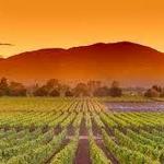 Napa Valley