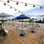 The Stray Dog Bar & Grill