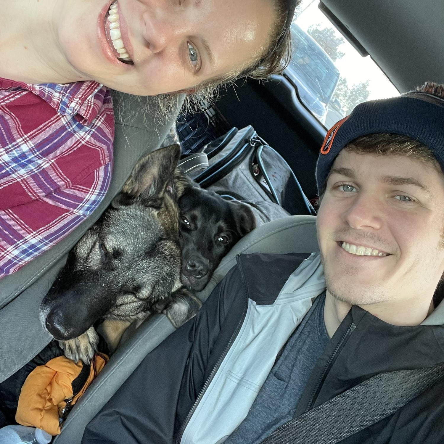 Road trip with the doggies!