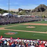 Spring Training Games