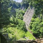Hiking Trails