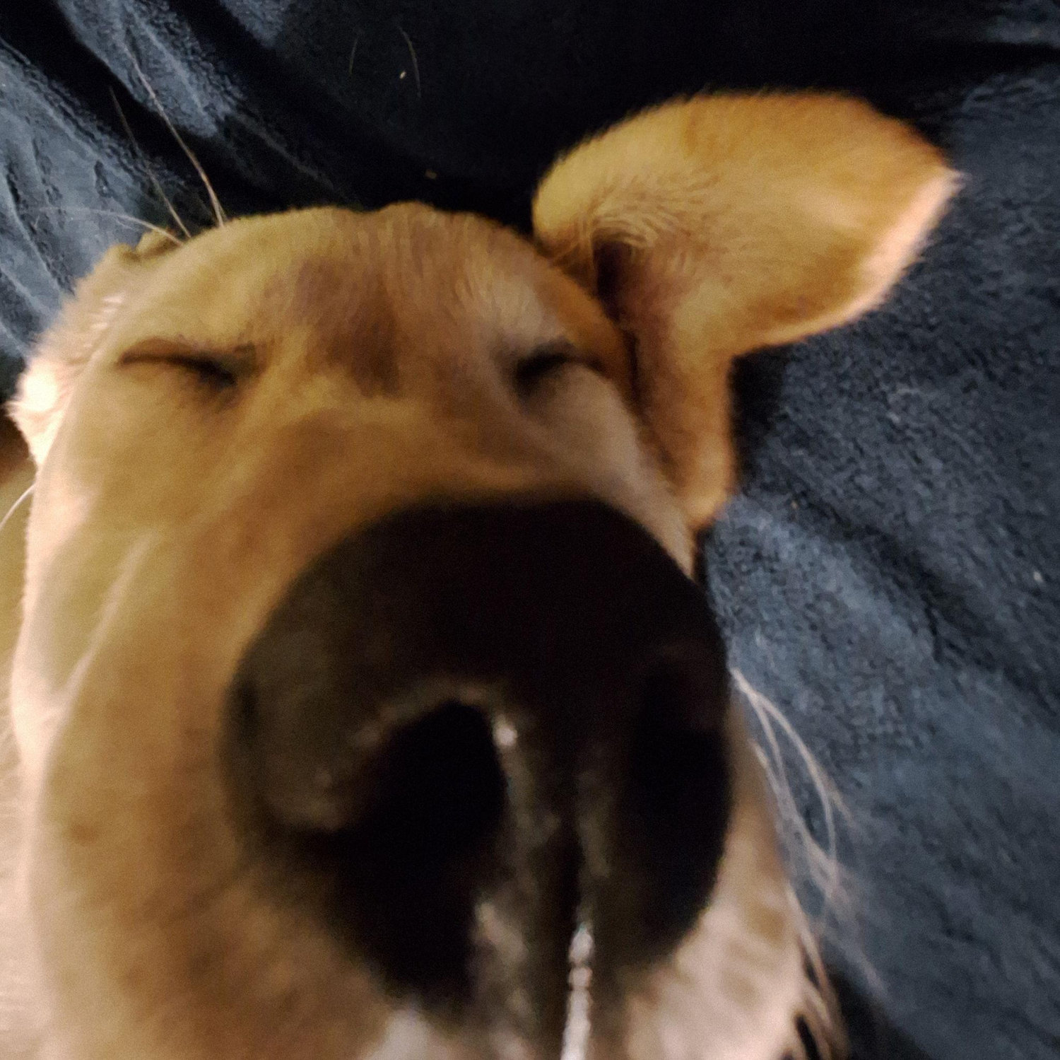 Nap time selfie