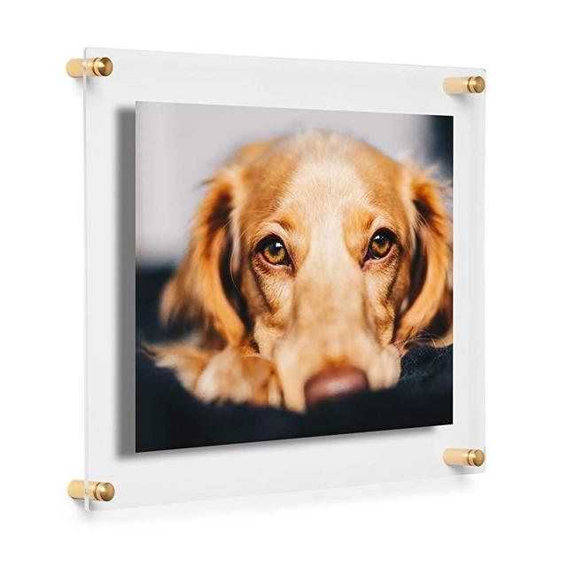 Cool Modern Frames Clear Floating Double Panel Acrylic Picture Frame, 8x10-Inch, Gold Hardware