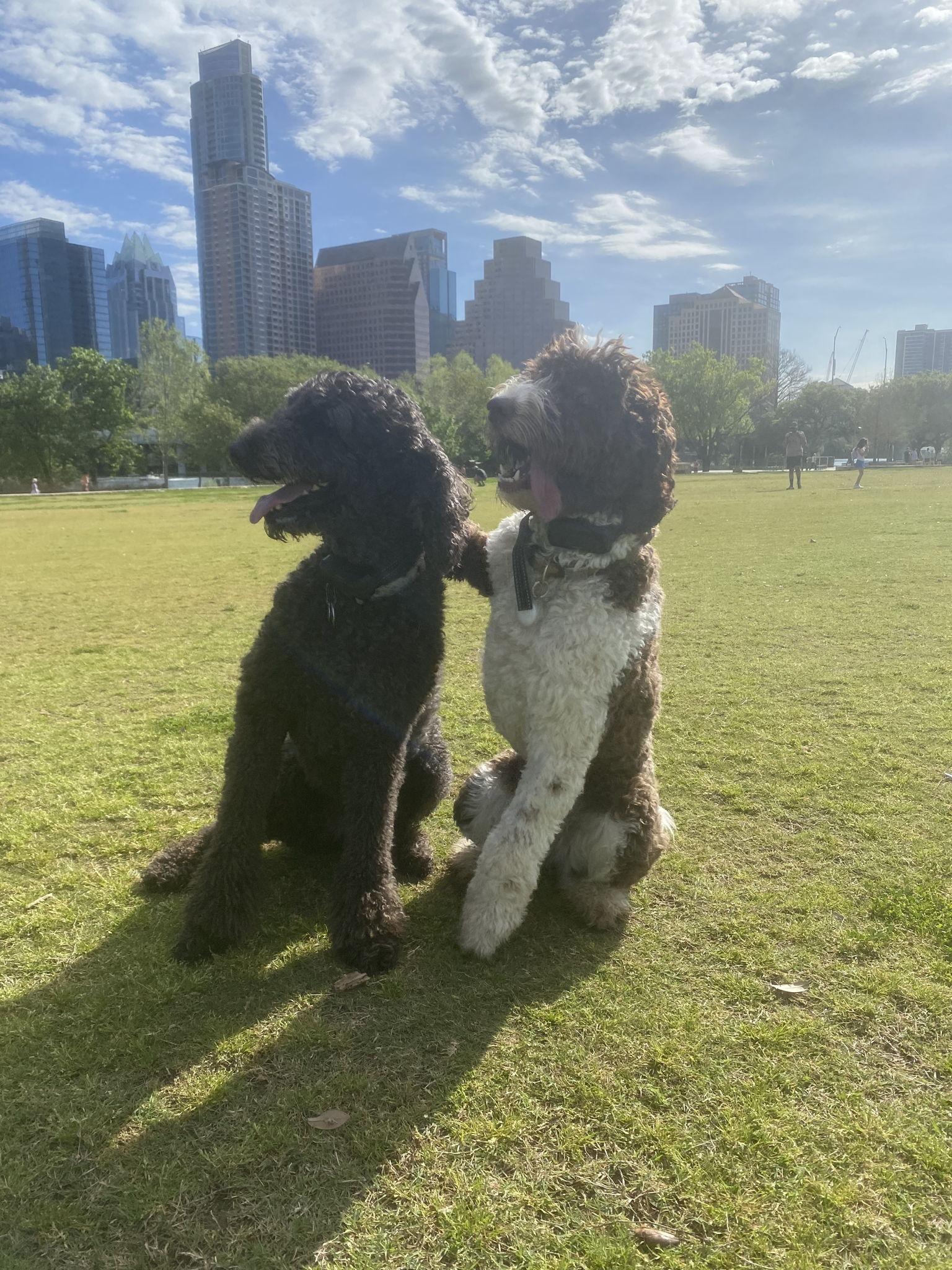 The Wedding Website of Les Sariol and Jessica Price