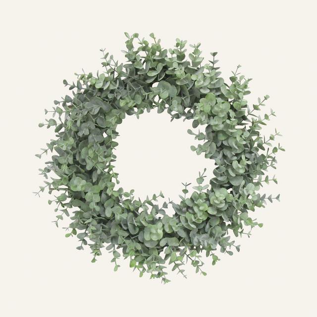 Frosted Eucalyptus Leaf Plastic Wreath