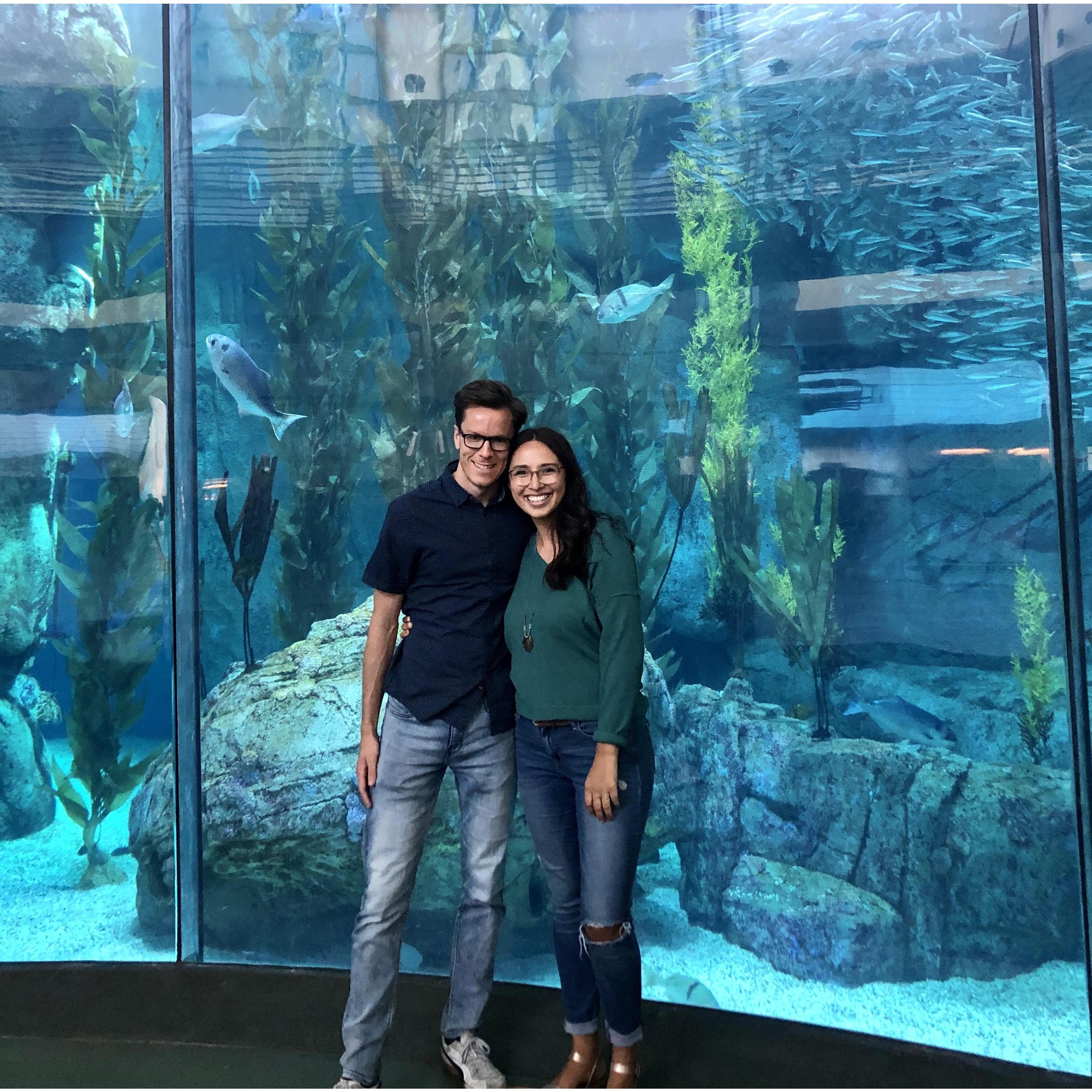Celebrating Mariah's Birthday at the Aquarium of the Pacific.