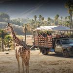 San Diego Zoo Safari Park