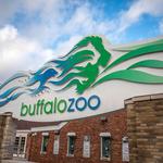 The Buffalo Zoo