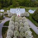 Take in some art @ the Southern Vermont Arts Center
