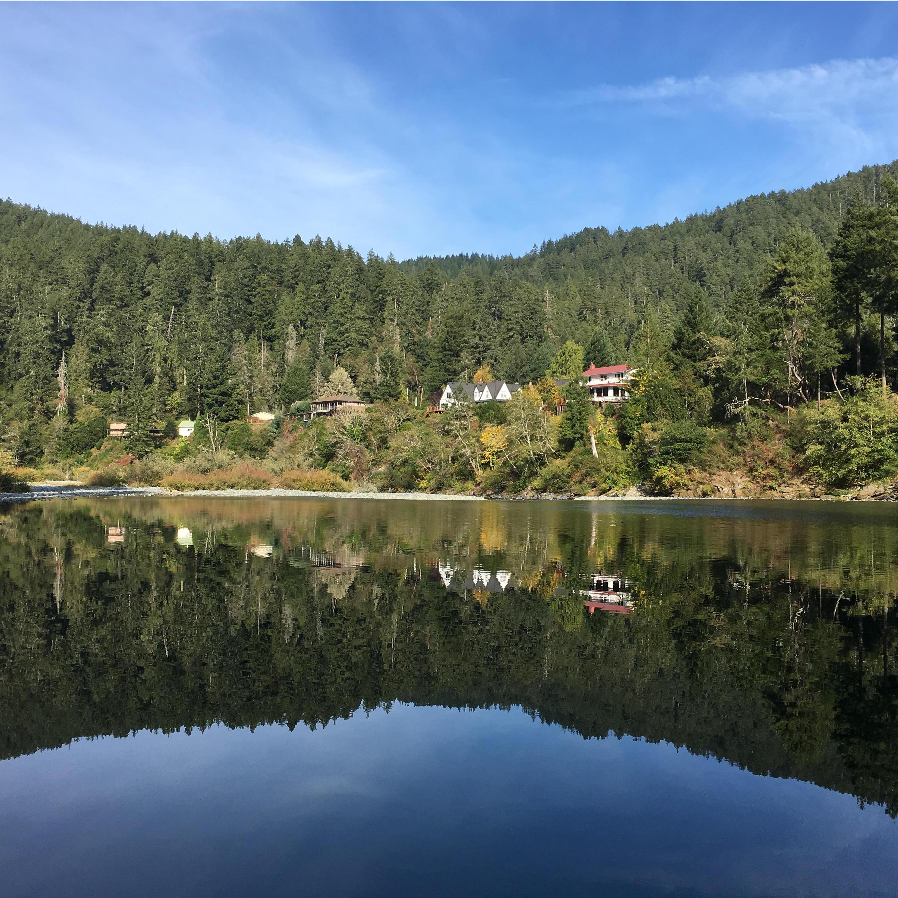 Redwood National Forest (Oct 2017)