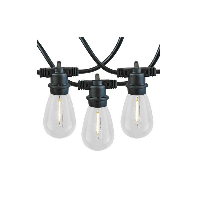 Novelty Lights Warm White LED Edison Lights with 24 In-Line S14 Filament Bulbs Black Wire 48 Feet