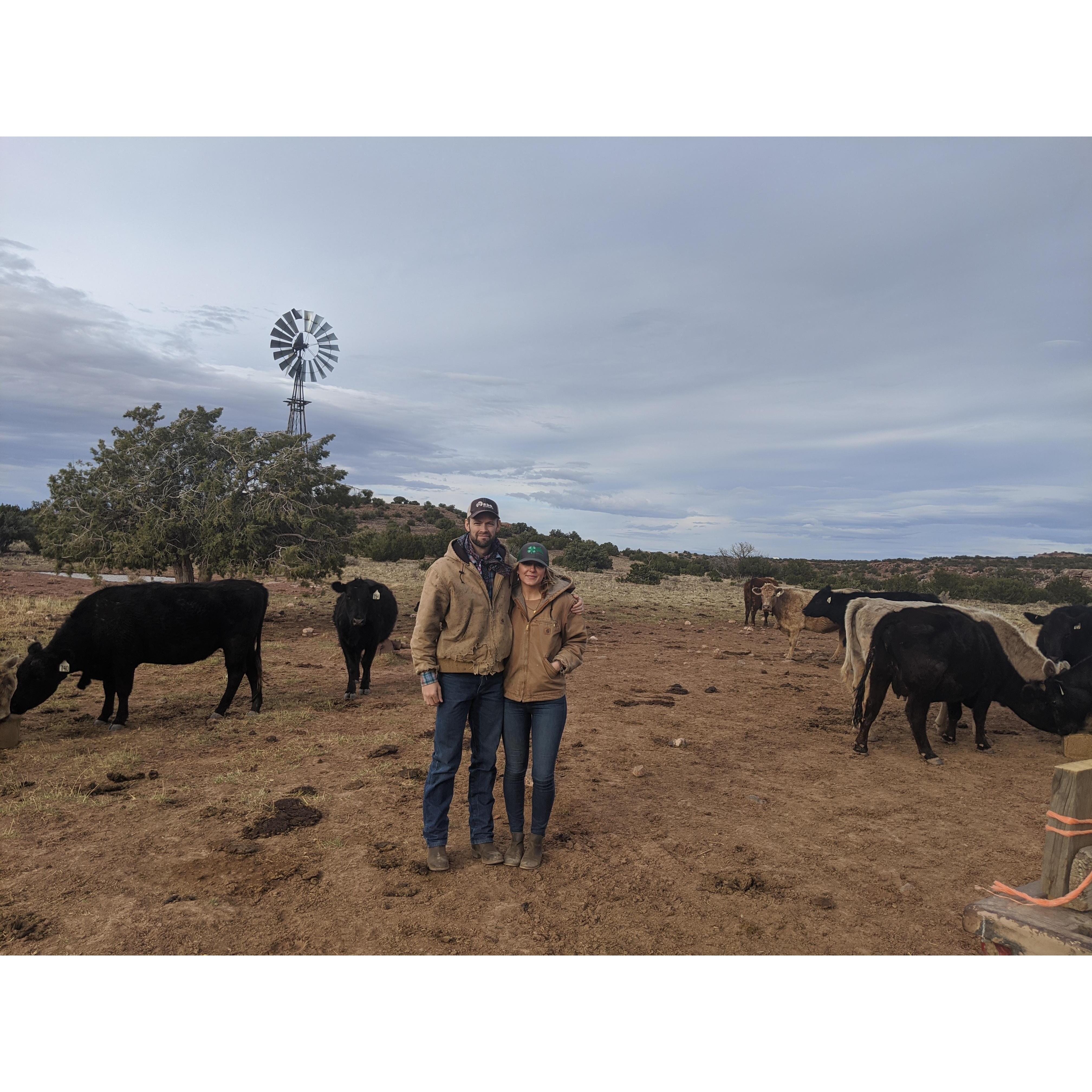 We came to the rescue to save the Arizona ranch... but lasted only 2.5 days.