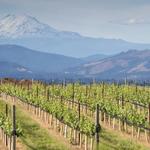 Wineries
