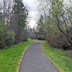 Fanno Creek Trail