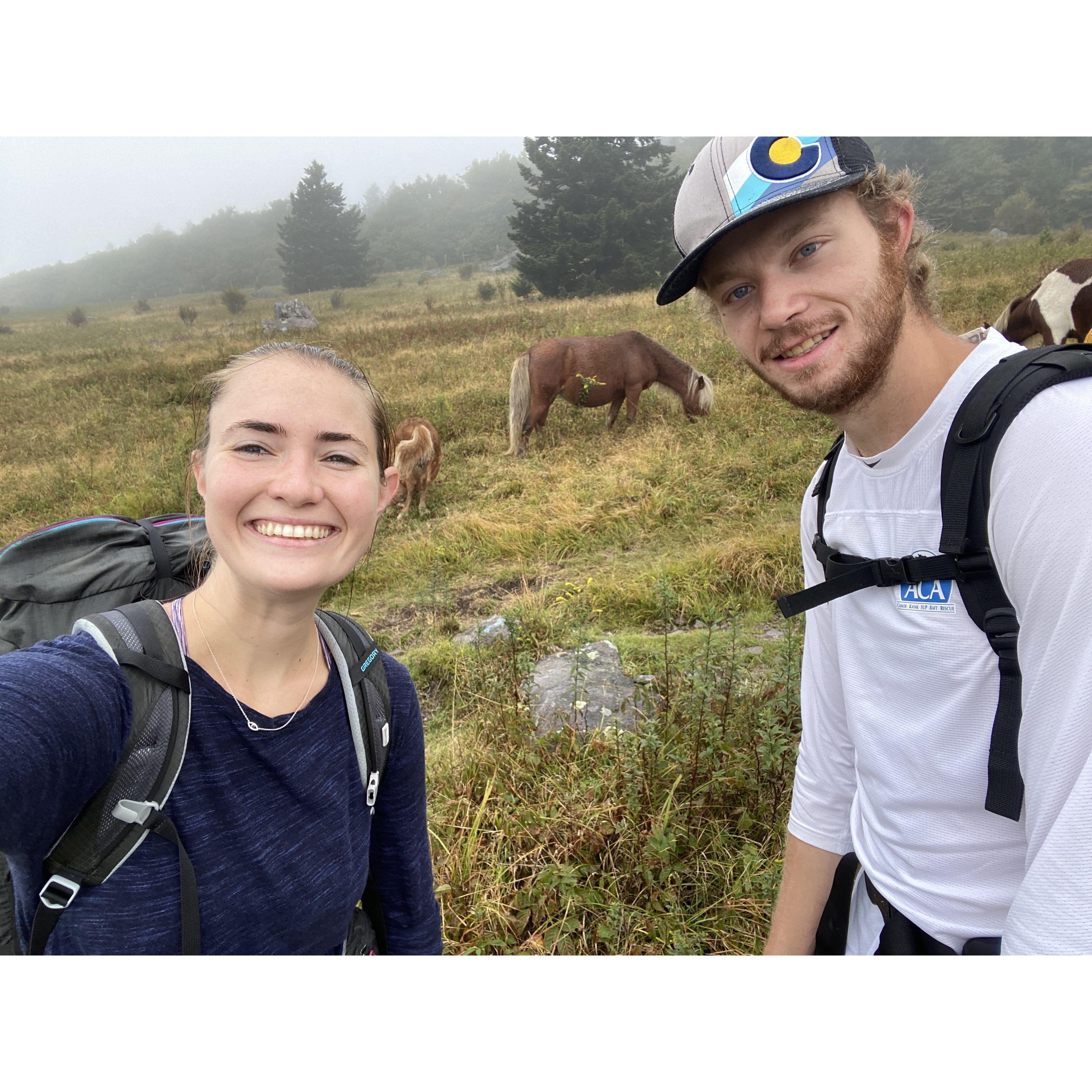 One of our favorite hikes - Grayson Highlands, VA