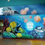 Aquarium | Sea Life Grapevine