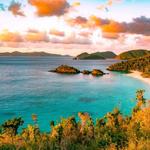 Trunk Bay