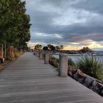 Waterfront Park