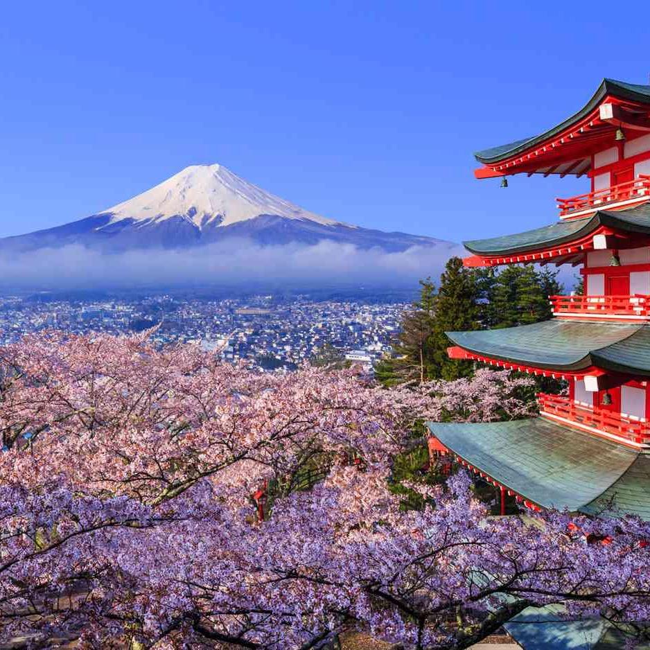 Japan Honeymoon Fund (Venmo)
