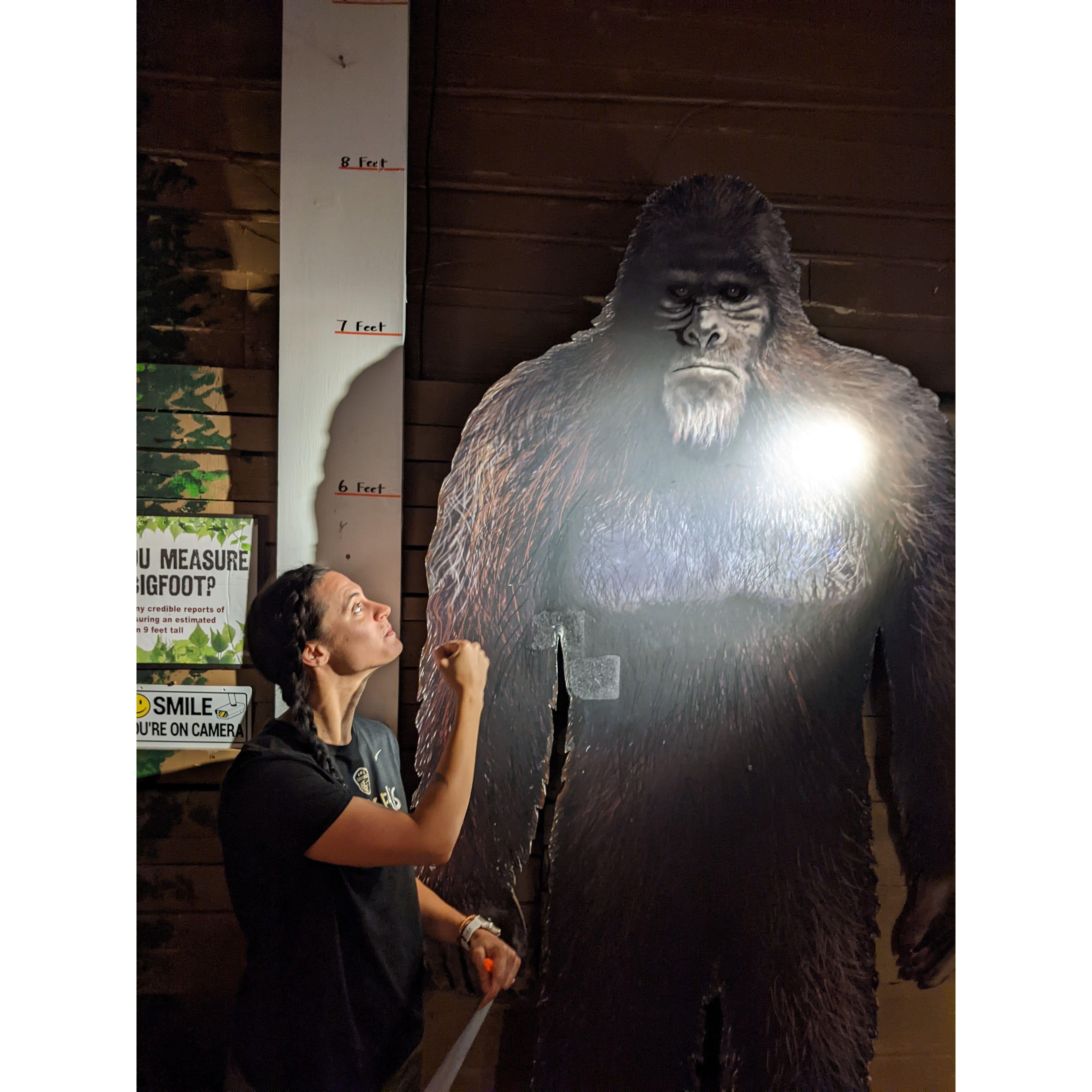 Do you believe in Bigfoot?