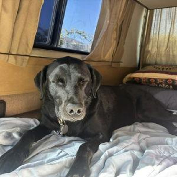 Waypoint Ventura Westy Trip